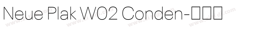 Neue Plak W02 Conden字体转换